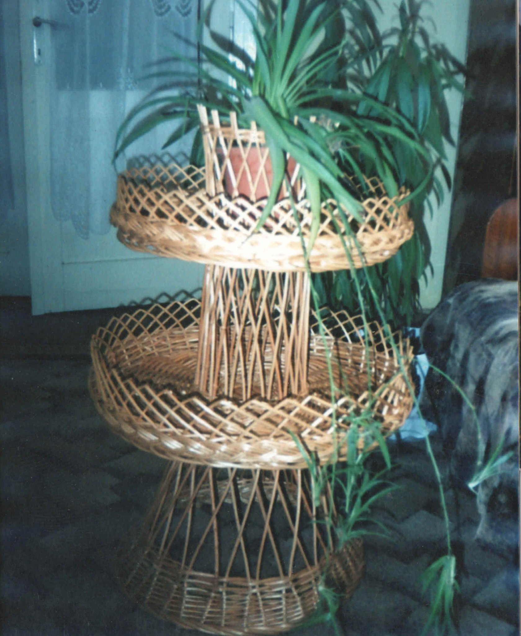 Virágkosár 1 Virágkosár