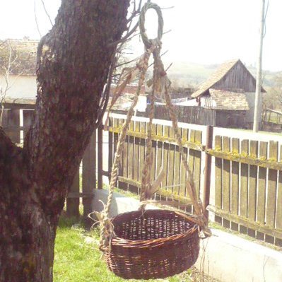 Virágkosár csüngő